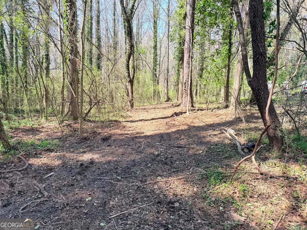 LOT 4 Miller ST Lithia Springs, GA 30122