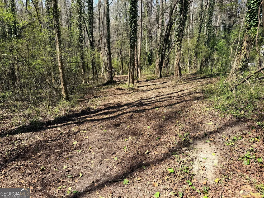 LOT 4 Miller ST Lithia Springs, GA 30122