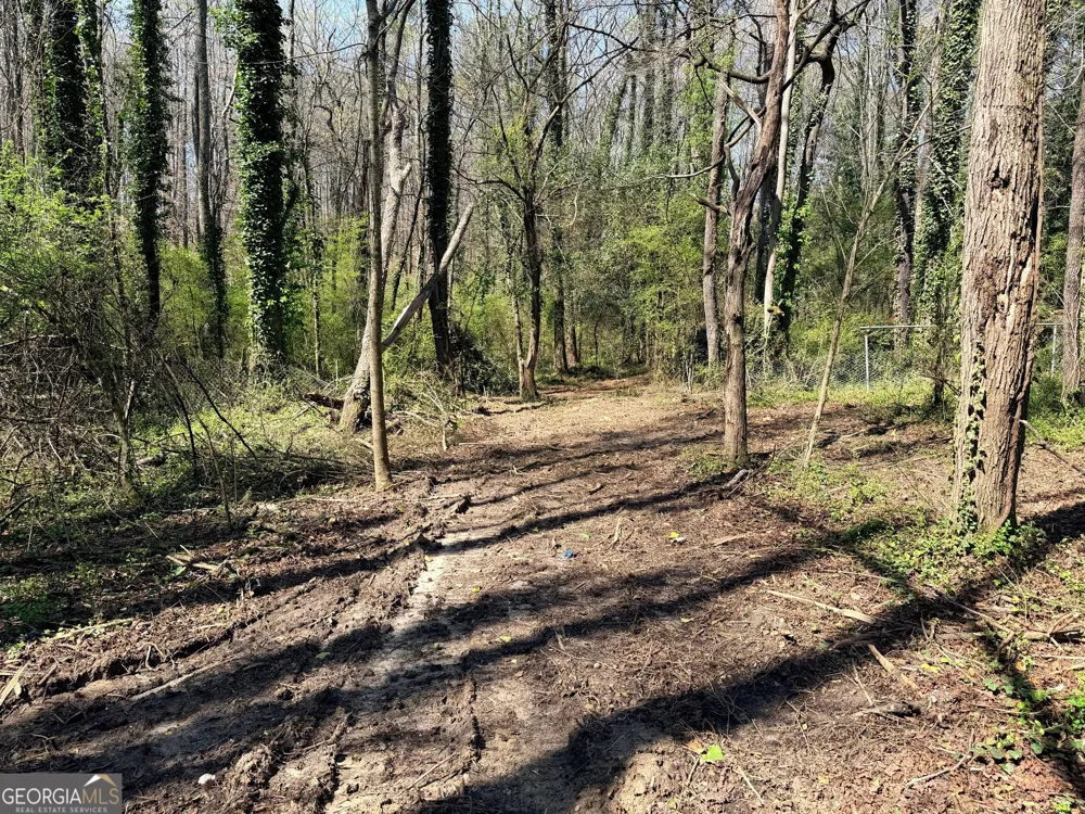LOT 4 Miller ST Lithia Springs, GA 30122