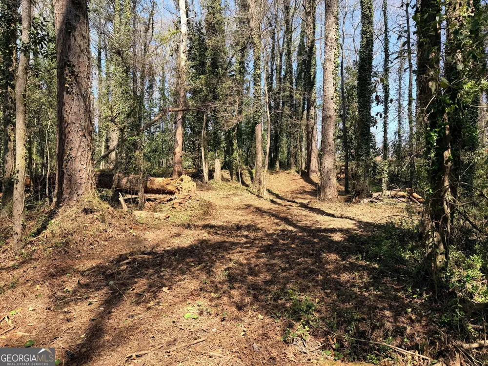 LOT 4 Miller ST Lithia Springs, GA 30122