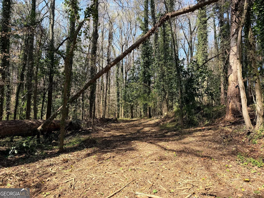 LOT 4 Miller ST Lithia Springs, GA 30122