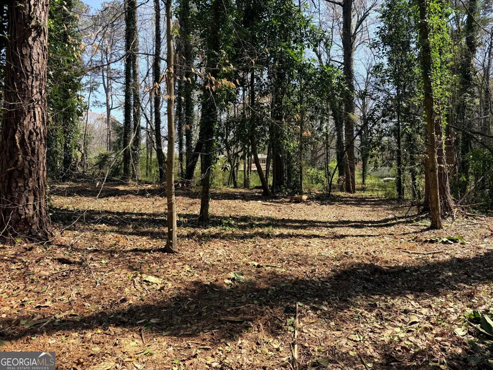 LOT 4 Miller ST Lithia Springs, GA 30122
