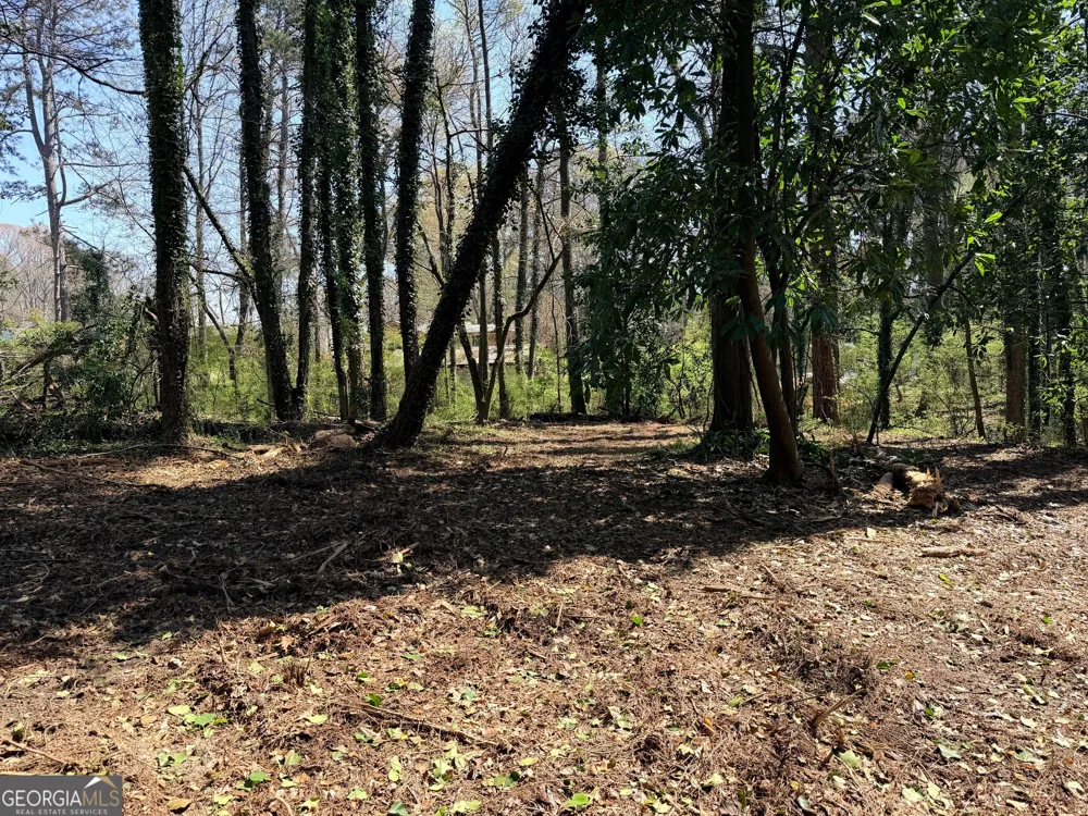 LOT 4 Miller ST Lithia Springs, GA 30122