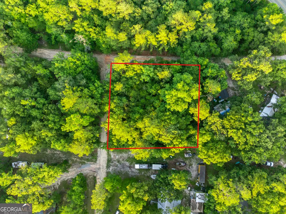 0 River Loop RD Baxley, GA 31513