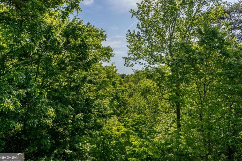 547 Echo RD Morganton, GA 30560