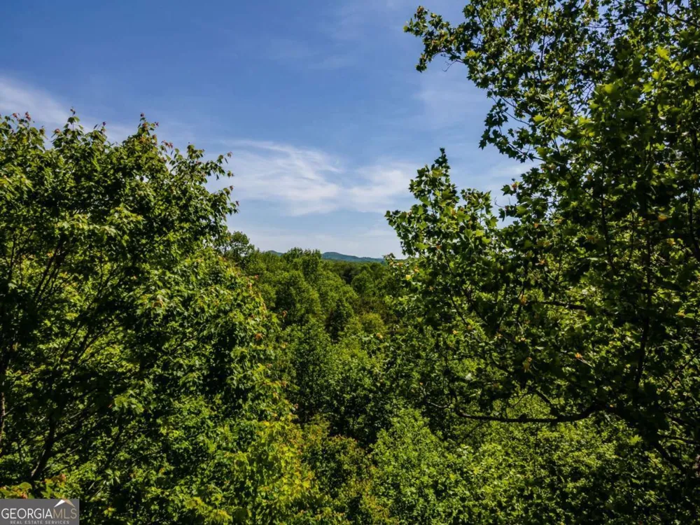 547 Echo RD Morganton, GA 30560