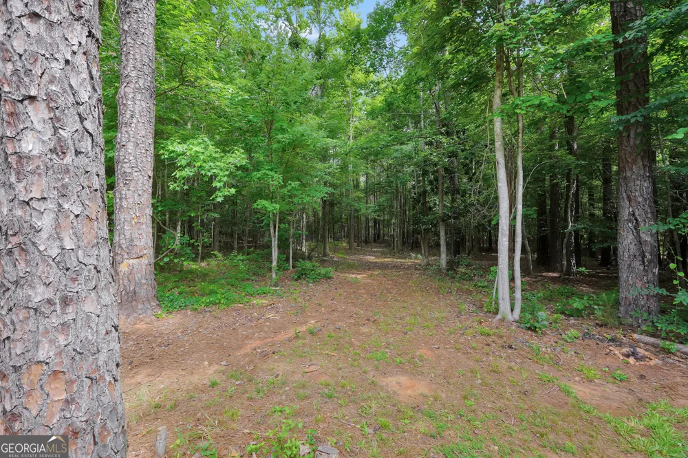 1577 Stark RD Jackson, GA 30233
