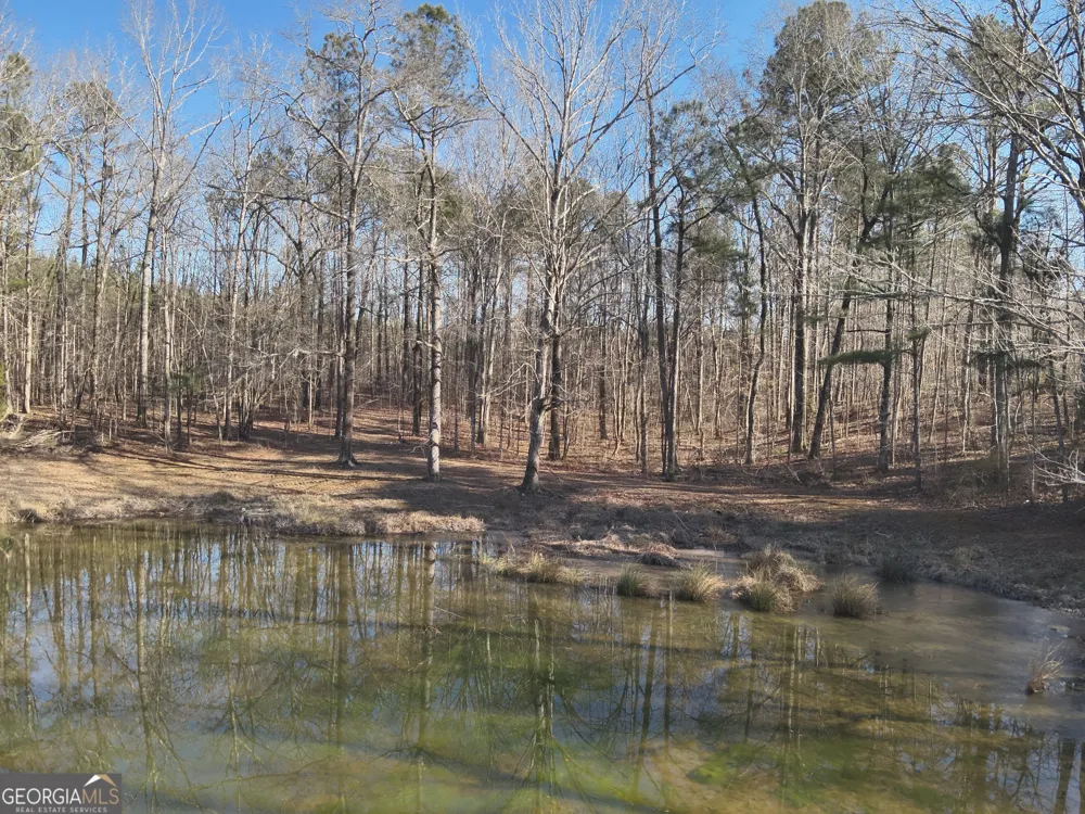 142 Wilson Musella, GA 31066