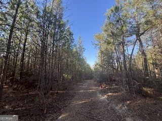 142 Wilson Musella, GA 31066