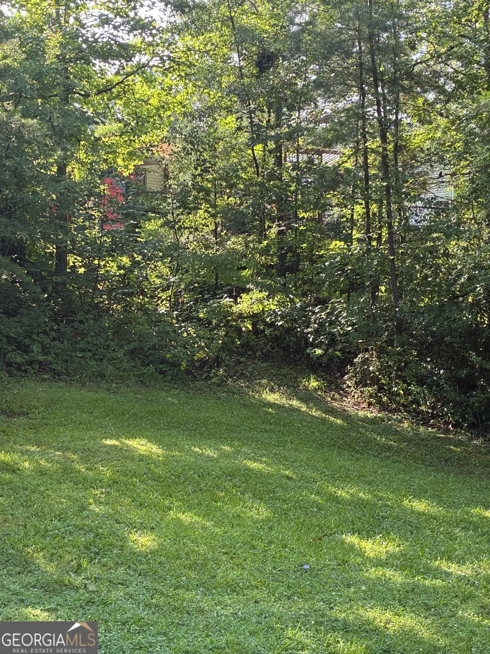 238 Currahee CIR Toccoa, GA 30577