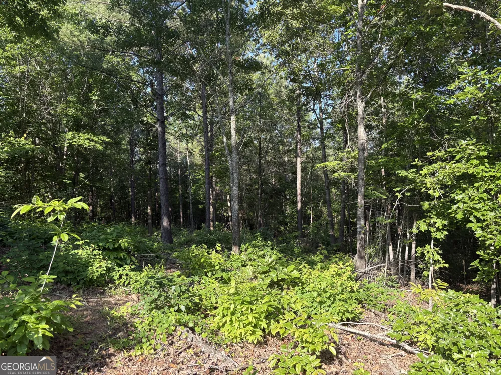 0 Anna Claire CT Monticello, GA 31064