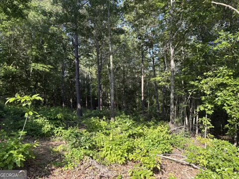 0 Anna Claire CT