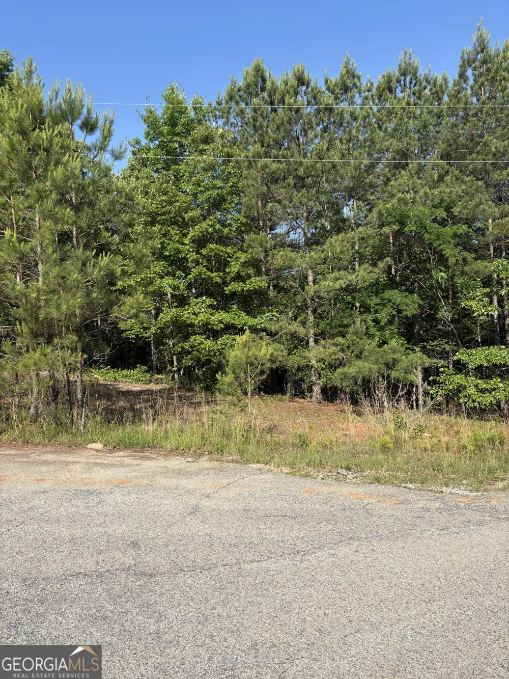 0 Anna Claire CT Monticello, GA 31064