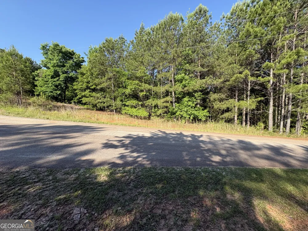 0 Anna Claire CT Monticello, GA 31064