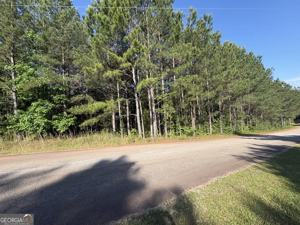 0 Anna Claire CT Monticello, GA 31064