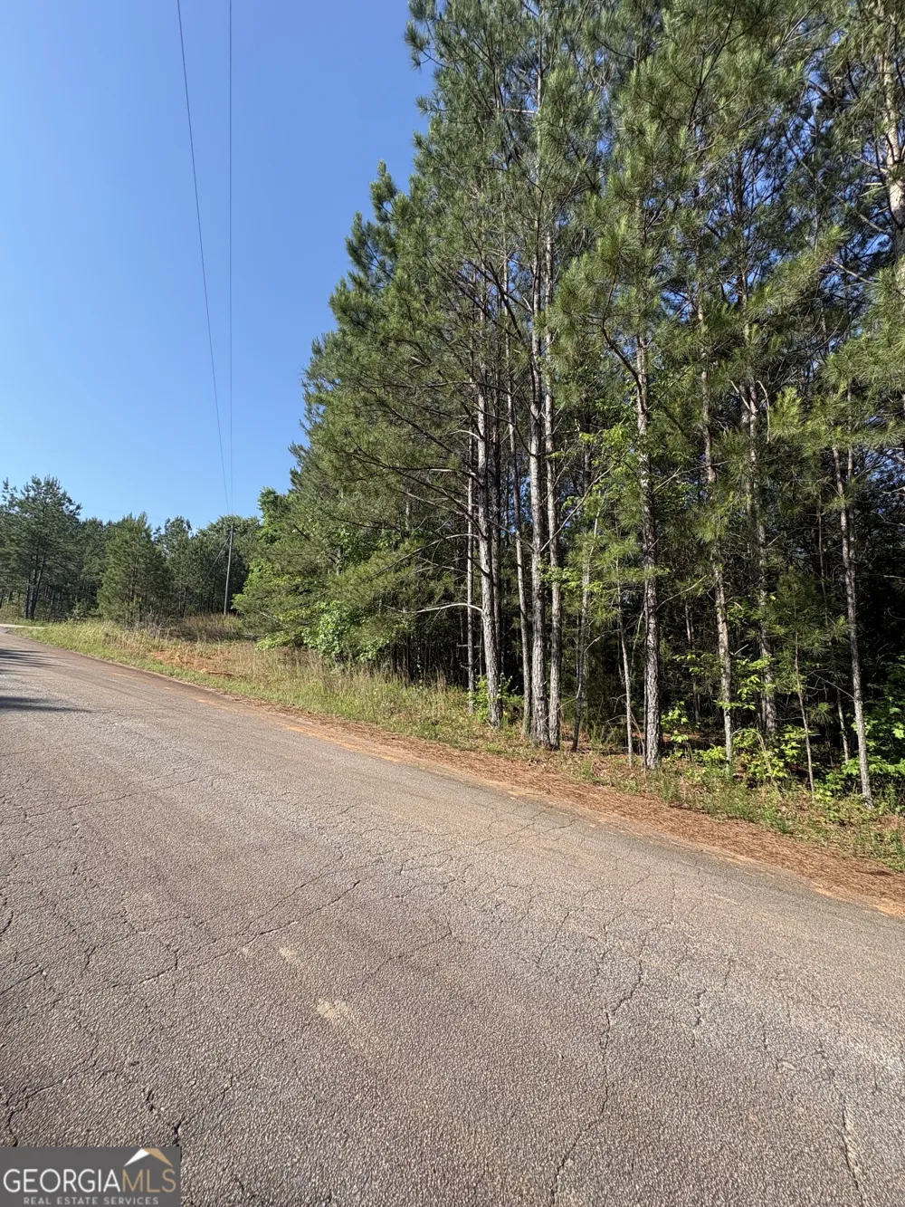 0 Anna Claire CT Monticello, GA 31064
