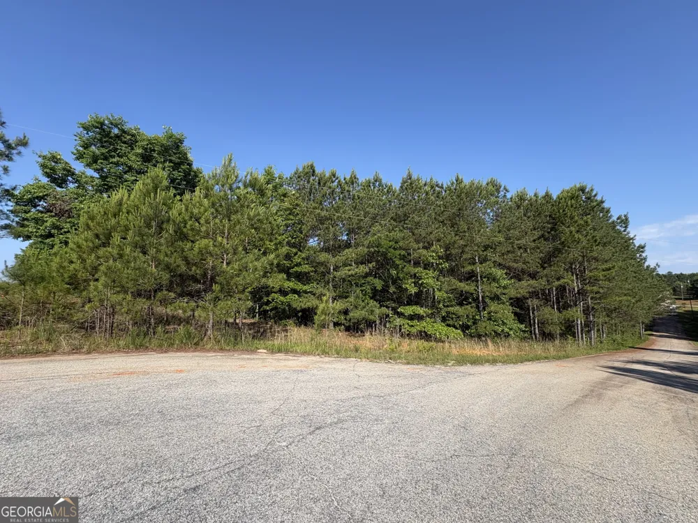 0 Anna Claire CT Monticello, GA 31064