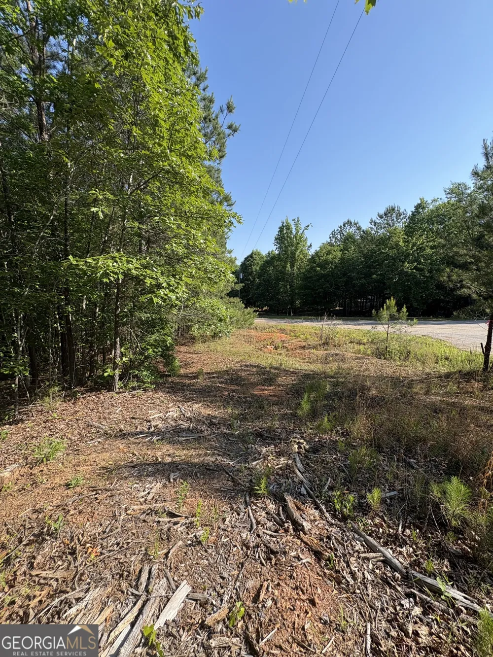 0 Anna Claire CT Monticello, GA 31064