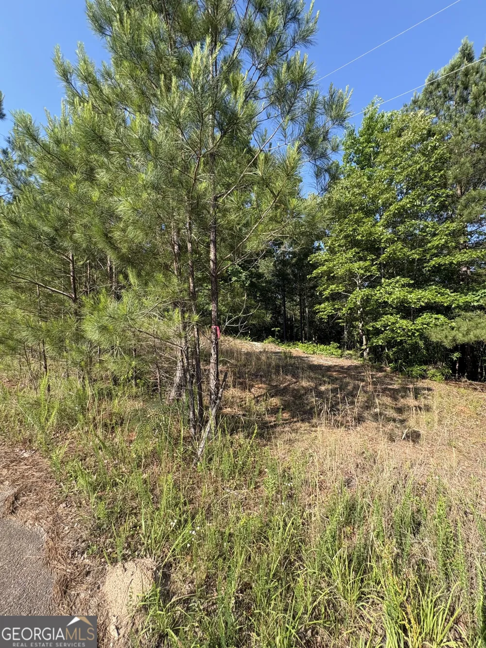0 Anna Claire CT Monticello, GA 31064