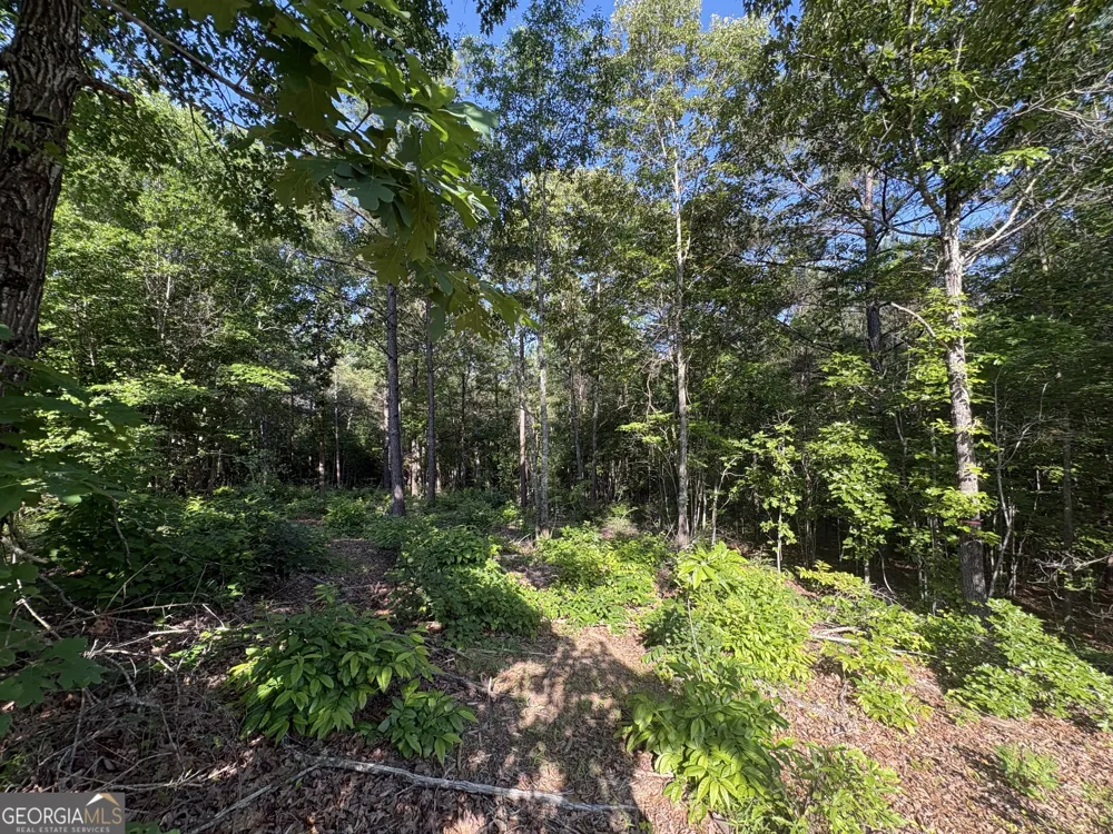 0 Anna Claire CT Monticello, GA 31064