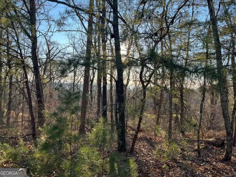 1171 Hunter DR Ranger, GA 30734