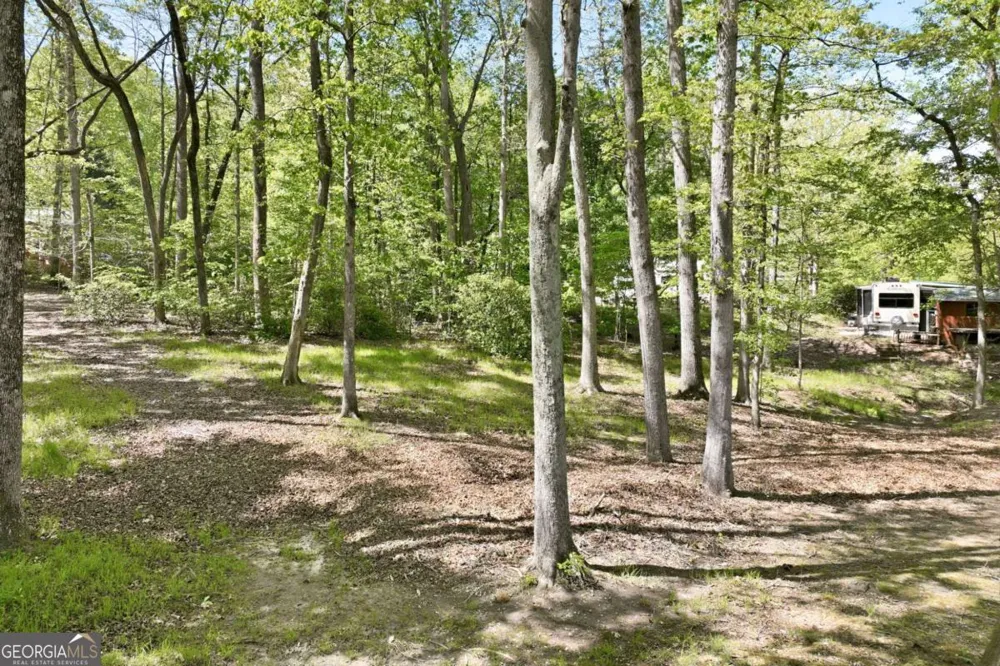 320 Leisure Acres DR Cleveland, GA 30528