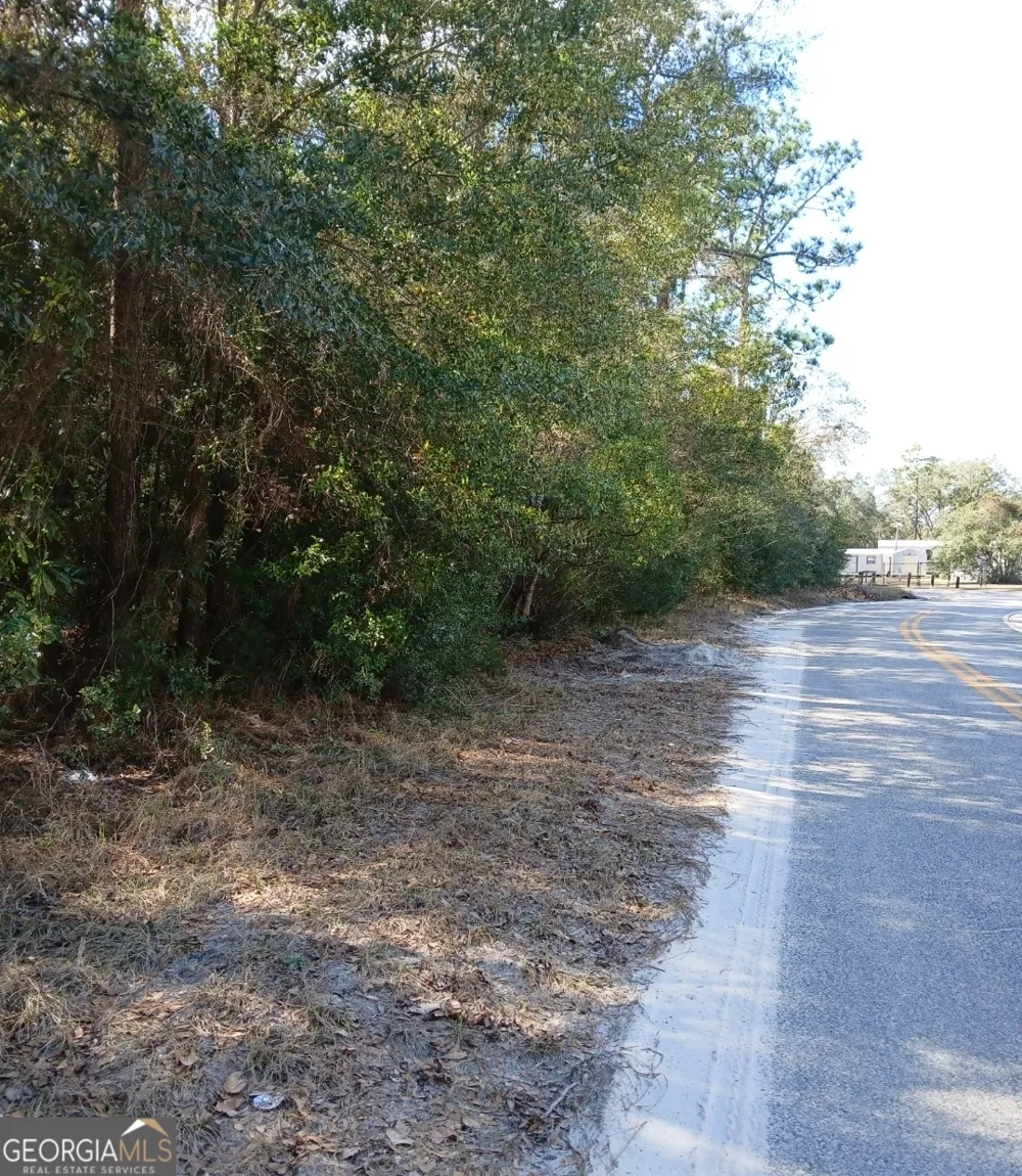 0-LOT 1 Owen Spatcher RD Folkston, GA 31537