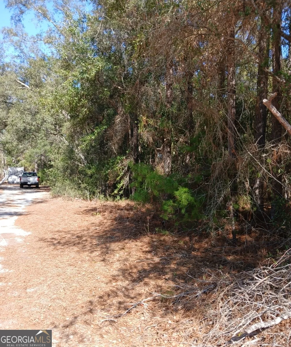 0-LOT 1 Owen Spatcher RD Folkston, GA 31537