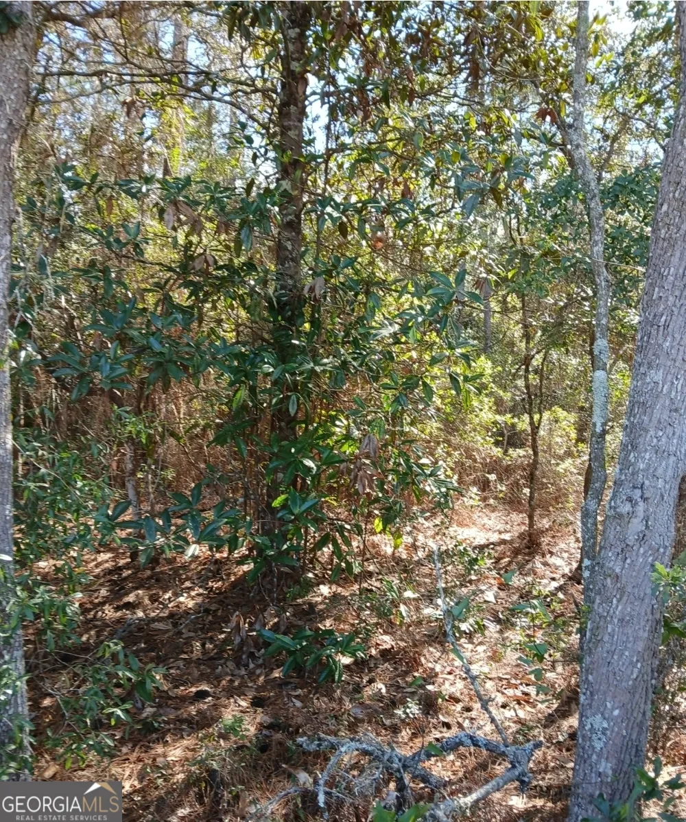 0-LOT 1 Owen Spatcher RD Folkston, GA 31537