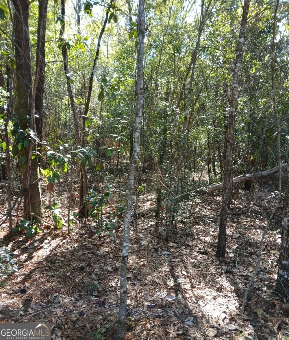 0-LOT 1 Owen Spatcher RD Folkston, GA 31537