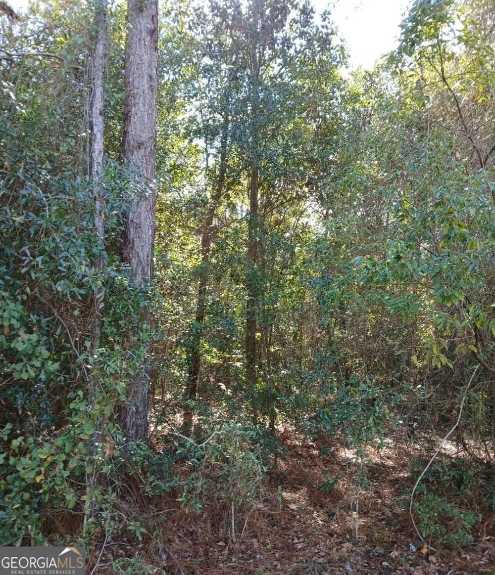 0-LOT 1 Owen Spatcher RD Folkston, GA 31537