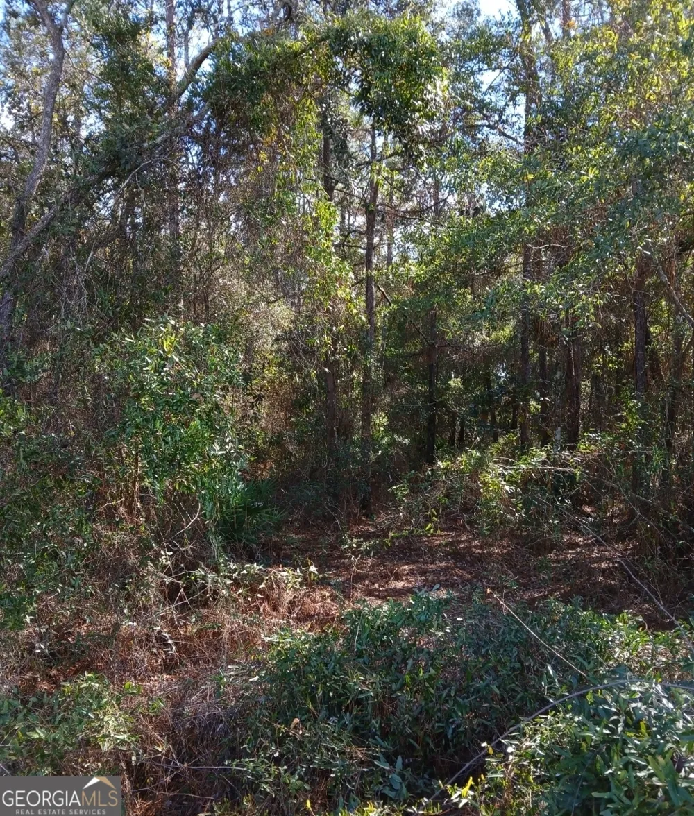0-LOT 4 Kelly RD Folkston, GA 31537