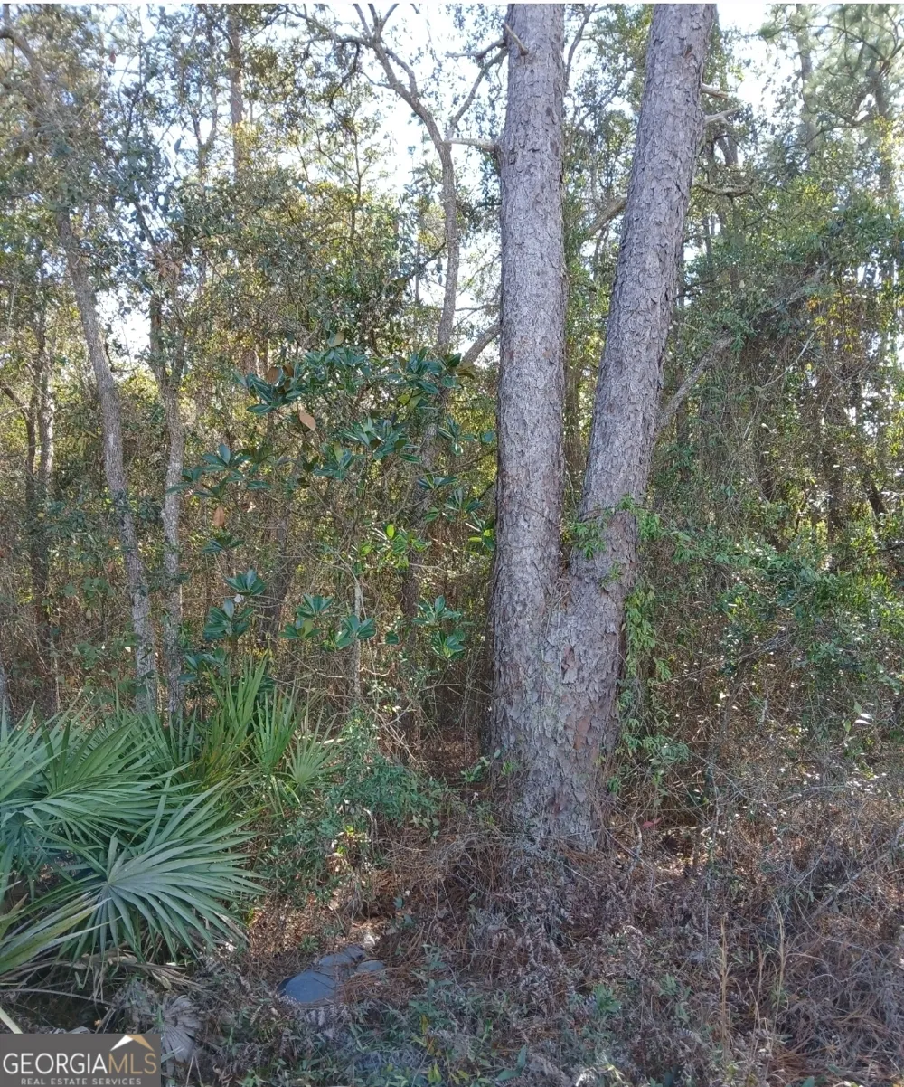 0-LOT 3 Kelly RD Folkston, GA 31537