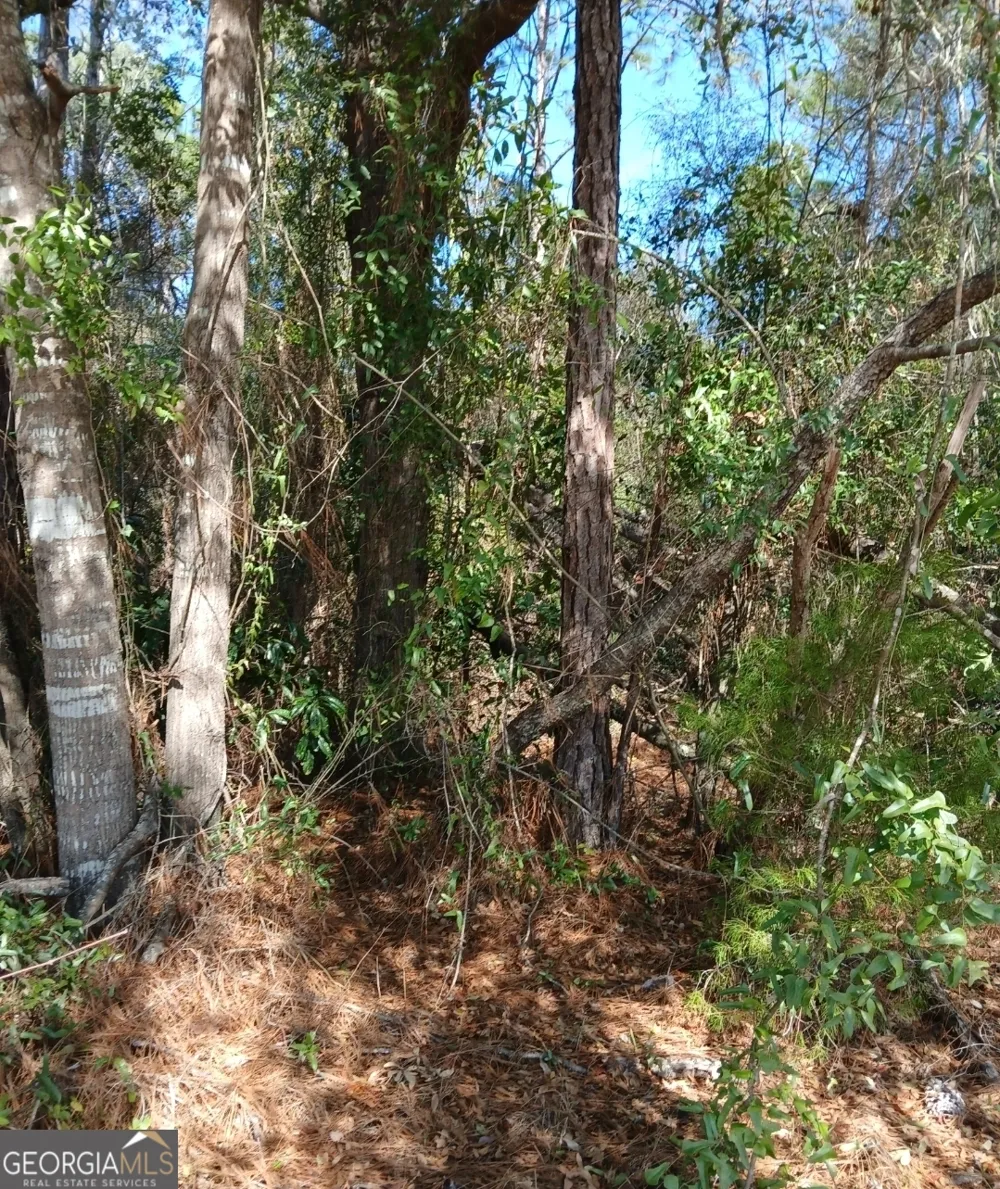0-LOT 3 Kelly RD Folkston, GA 31537