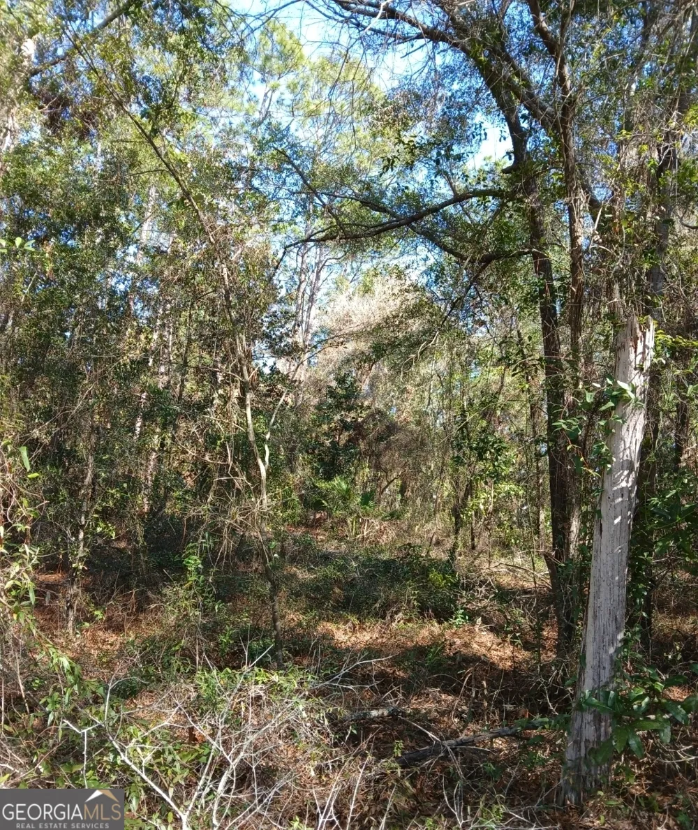 0-LOT 3 Kelly RD Folkston, GA 31537