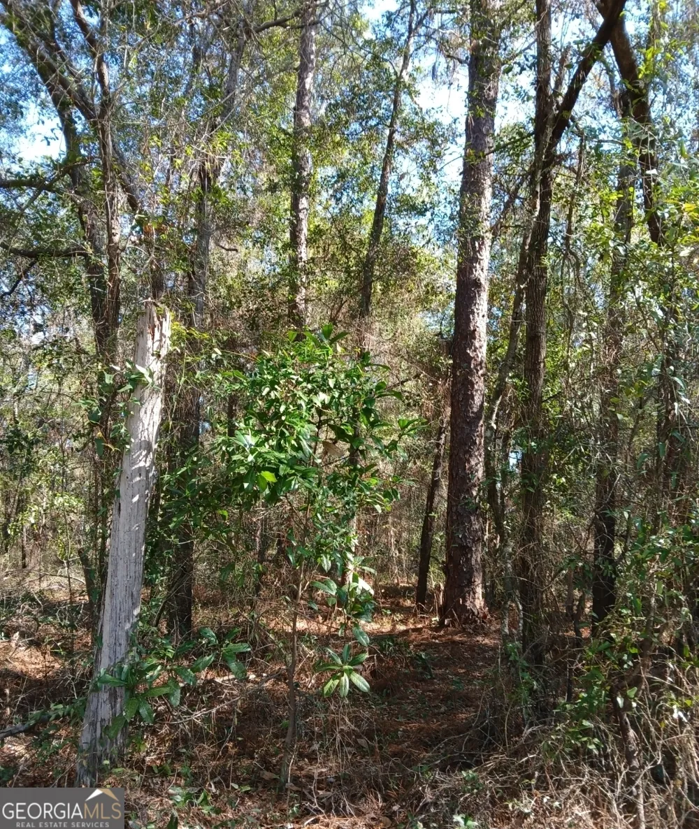 0-LOT 3 Kelly RD Folkston, GA 31537