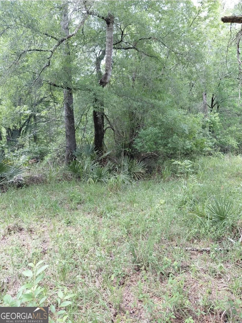 436 Russell BLVD St. George, GA 31562