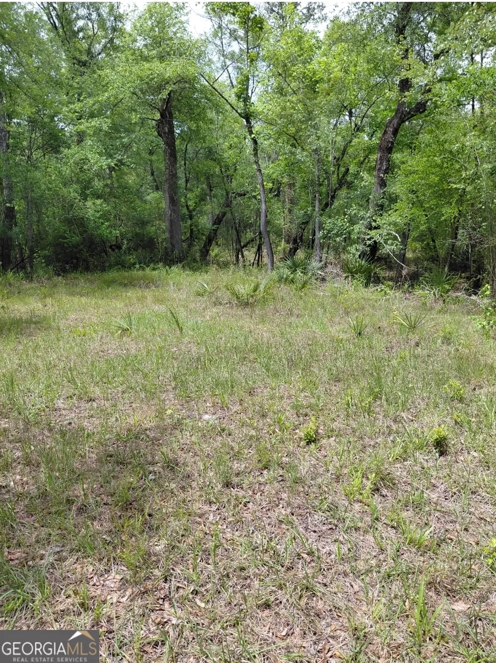 436 Russell BLVD St. George, GA 31562