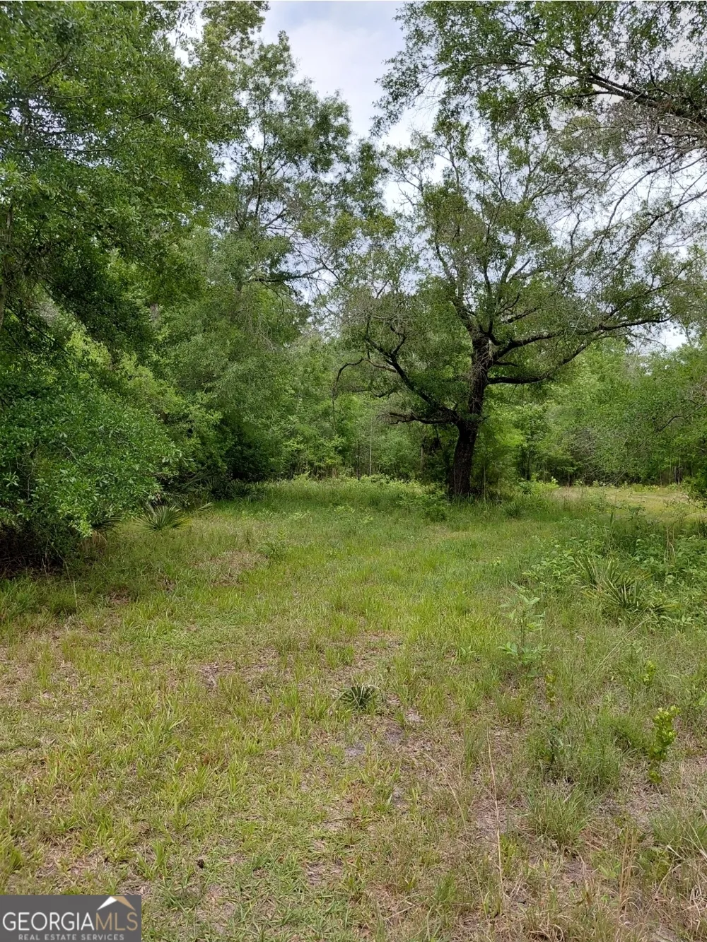 436 Russell BLVD St. George, GA 31562