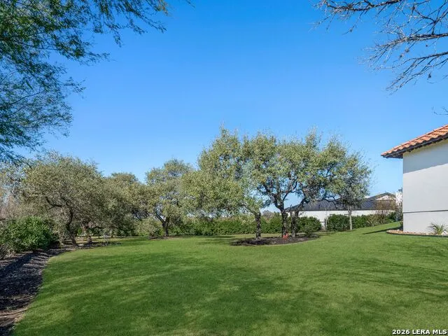 203 Wellesley Landing Shavano Park, TX 78231