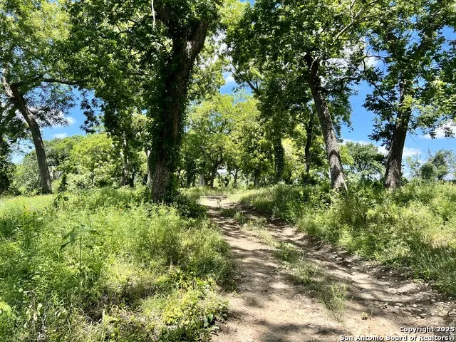 1543 CR 215 Bertram, TX 78605