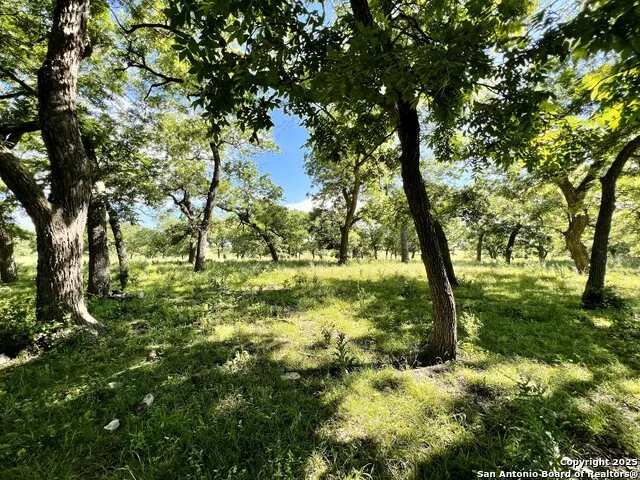1543 CR 215 Bertram, TX 78605