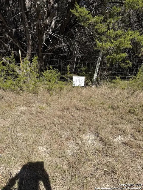 (LT) 396 Forest Trail Drive
