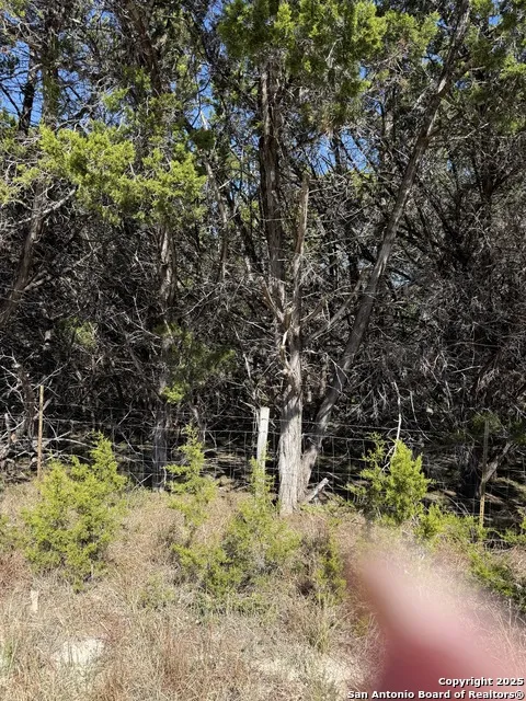 LT 392 Forest Trail Drive Bandera, TX 78003
