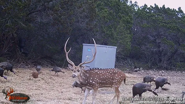 TBD RM 334 Brackettville, TX 78832