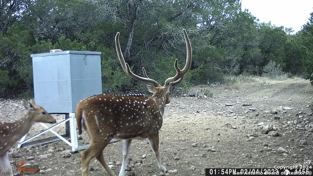 TBD RM 334 Brackettville, TX 78832