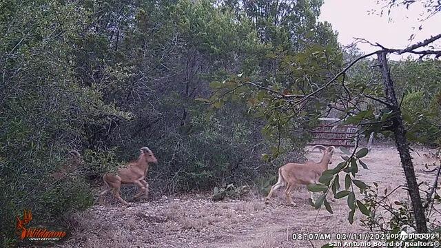 TBD RM 334 Brackettville, TX 78832