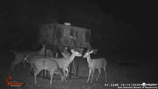 TBD RM 334 Brackettville, TX 78832