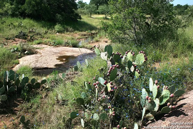 TBD CR 113A Llano, TX 78634