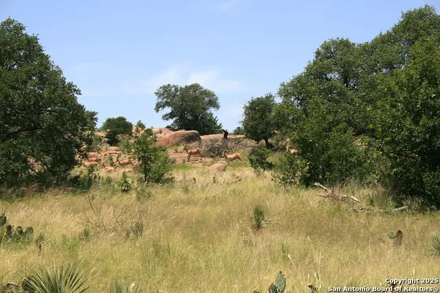 TBD CR 113A Llano, TX 78634